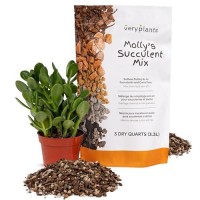 Mollys Succulent Mix Premium Gritty Soilless Potting Mix For Succulents Cactus And Bonsai Contains Akadama Hyuga Bark Fi