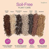 Mollys Succulent Mix Premium Gritty Soilless Potting Mix For Succulents Cactus And Bonsai Contains Akadama Hyuga Bark Fi