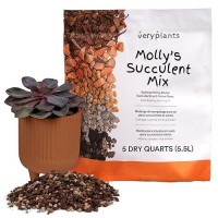 Mollys Succulent Mix Premium Gritty Soilless Potting Mix For Succulents Cactus And Bonsai Contains Akadama Hyuga Bark Fi