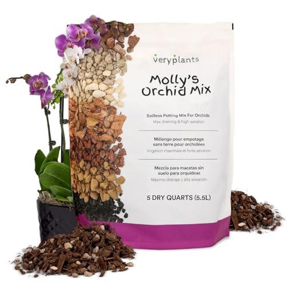 Mollys Orchid Mix Premium Soilless Potting Mix For Orchids Contains Bark Coco Chips Akadama Pumice Lava Rock 5 Dry Quar