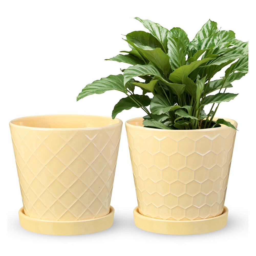 Efispss Ceramic Plant Pots 6Inch Pots For Indoor Plants Set Of 2 Planters With Drainage Holes And Ceramic Tray Flower Pots De