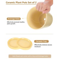 Efispss Ceramic Plant Pots 6Inch Pots For Indoor Plants Set Of 2 Planters With Drainage Holes And Ceramic Tray Flower Pots De