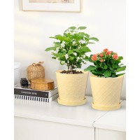 Efispss Ceramic Plant Pots 6Inch Pots For Indoor Plants Set Of 2 Planters With Drainage Holes And Ceramic Tray Flower Pots De