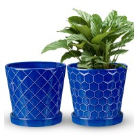 Efispss 6 Inch Pots For Indoor Plants Ceramic Plant Pots Planters With Drainage Hole And Saucer Flower Pots Desktop Office Wind