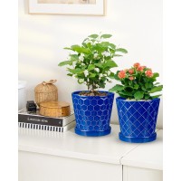 Efispss 6 Inch Pots For Indoor Plants Ceramic Plant Pots Planters With Drainage Hole And Saucer Flower Pots Desktop Office Wind