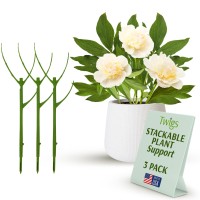 Twigs Ga Stackable Plant Support Stakes Climbing Plant Support Plant Support Structures Plant Stakes For Indoor Outdoor P