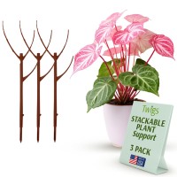 Twigs Ga Stackable Plant Support Stakes Climbing Plant Support Plant Support Structures Plant Stakes For Indoor Outdoor P