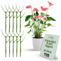 Twigs Ga Stackable Plant Support Stakes Climbing Plant Support Plant Support Structures Plant Stakes For Indoor Outdoor P