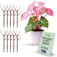 Twigs Ga Stackable Plant Support Stakes Climbing Plant Support Plant Support Structures Plant Stakes For Indoor Outdoor P