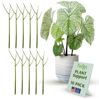 Twigs Ga Twig Plant Stakes For Indoor Plants Plant Support Stakes Plant Accessories Plant Trellis Outdoor Plant Support Fo