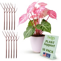 Twigs Ga Twig Plant Stakes For Indoor Plants Plant Support Stakes Plant Accessories Plant Trellis Outdoor Plant Support Fo