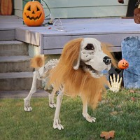 Drdudu Halloween Skeleton Dog Decorations Skeletons Animals Halloween Decor Life Size Plastic Puppy Bones With Hair For Outdoo