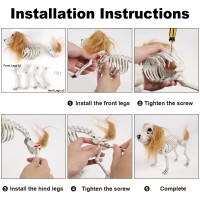 Drdudu Halloween Skeleton Dog Decorations Skeletons Animals Halloween Decor Life Size Plastic Puppy Bones With Hair For Outdoo