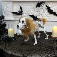 Drdudu Halloween Skeleton Dog Decorations Skeletons Animals Halloween Decor Life Size Plastic Puppy Bones With Hair For Outdoo