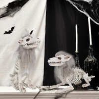 Drdudu 2 Pack Halloween Skeleton Wolf Decorations Life Size Animals Skeletons Poseable Halloween Decor Plastic Bones With Hair