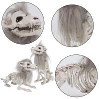 Drdudu 2 Pack Halloween Skeleton Wolf Decorations Life Size Animals Skeletons Poseable Halloween Decor Plastic Bones With Hair