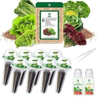 Lettuce Seed Pod Kit For Aerogarden Included Romainebibb And Boston Lettucered And Green Leafbutter Headbuttercrunch Plant