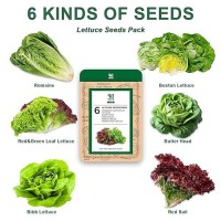 Lettuce Seed Pod Kit For Aerogarden Included Romainebibb And Boston Lettucered And Green Leafbutter Headbuttercrunch Plant