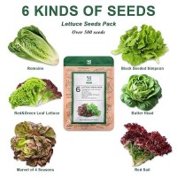 Salad Greens Seed Pod Kit For Aerogarden 8Pod With Red And Green Leaf Romaine Butter Head Red Sailblack Seeded Simpsonmar