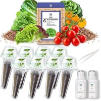 Salad Greens Seed Pod Kit With Lettuce And Tomato  Red And Green Leaf  Butter Head  Spinach For Hydroponic Pods  Grow Anything For Hydroponics Growing System Kit  Plant Food And Growing Guide 8-Pod