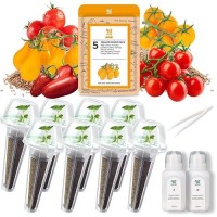 Tomato Seed Pod Kit Mix Of 5 Different Varieties Of Tomatoes Included Red And Golden Cherry  Roma Tomato  San Marzano Tomato  Seed Starter Pod Kit For Hydroponics Growing System With Plant Food 8-Pod