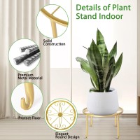 Plant Stand Indoor 5 Pack Gold Metal Plant Stands Outdoor Heavy Duty Flower Pot Stands For Multiple Plants Rustproof Iron Round