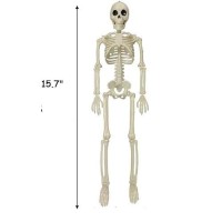 Mllxx Halloween Skeleton Decorations Outdoor Indoor Plastic Posable 16 Skeleton With Posable Joints Halloween Decor For Haun