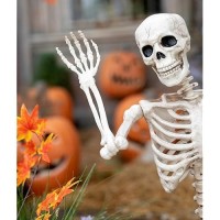 Mllxx Halloween Skeleton Decorations Outdoor Indoor Plastic Posable 16 Skeleton With Posable Joints Halloween Decor For Haun