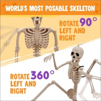 Joyin 16 Halloween Posable Skeleton Full Body Skeleton With Movable Joints For Halloween Party Haunted House Graveyard Props