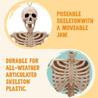 Joyin 16 Halloween Posable Skeleton Full Body Skeleton With Movable Joints For Halloween Party Haunted House Graveyard Props