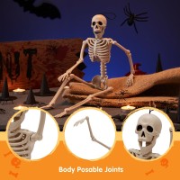 Joyin 16 Halloween Posable Skeleton Full Body Skeleton With Movable Joints For Halloween Party Haunted House Graveyard Props