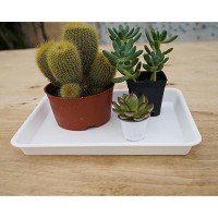 Vuwez 4 Pack Plant Saucer Tray Rectangular Plant Saucers For Indoors Heavy Sturdy Plastic Plant Drainage Trays Plant Drip Tra