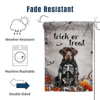 Halloween Chocolate Lab Garden Flag Trick Or Treat Yard Flag Ghost Labrador Dog Garden Flags For Outside 12X18 Double Sided Mini