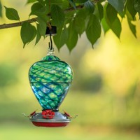 Laelvish Garden 2 Packs Hummingbird Feeder For Outdoors Hanging Ant And Bee Proof 34Oz 32Oz Hand Blown Glass Hummingbird Feeder