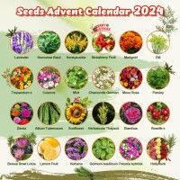 Seed Advent Calendar 2024 Christmas Countdown24 Various Of Nongmo Heirloom Flower Seeds For Plantinggarden Decorations Countd