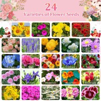 Seeds Advent Calendar 2024 Christmas Countdown Nongmo Heirloom Seeds 24 Types Of Perennial Flower Seeds For Planting Unique