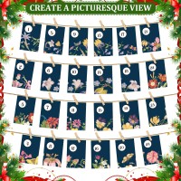 Seeds Advent Calendar 2024 Christmas Countdown Nongmo Heirloom Seeds 24 Types Of Perennial Flower Seeds For Planting Unique