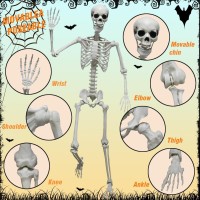 59Ft180Cm Halloween Skeleton Life Size Skeleton Halloween Realistic Full Body Bones With Movable Joints For Halloween Party H