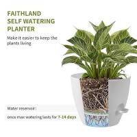 Faithland 3Pack Planter Pots 10 9 8 Inch Self Watering Flower Pots For Indoor Outdoor Garden Plants White With Brown