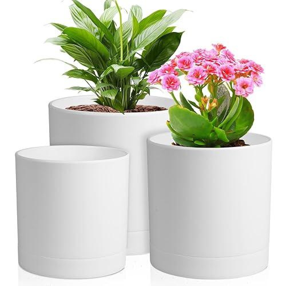 Meowell 654 Inch Flower Pots Pack Of 3 Cylinder Plant Pots For Small Indoor Outdoor Plants Plastic Planters With Drainage Ho