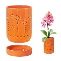 4 Inch Orchid Pot  Ceramic Orchid Pot For Repotting With Saucers  Orchid Pots With Holes More Ventilation Hole Easy Breathing  Plant Pot For Repotting Orchids And Other Flowers - Indoor/Outdoor Orange