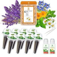 Lavender Seed Pod Kit Compatible With Aerogarden 8 Pod Include Seed Mintchamomileholy Basilborageboragecalendulalavender