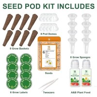 Lavender Seed Pod Kit Compatible With Aerogarden 8 Pod Include Seed Mintchamomileholy Basilborageboragecalendulalavender