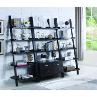 Transitional Cappuccino Bookcase