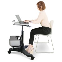 Aidata Ergonomic Sit-Stand Mobile Laptop Cart Work Station With Printer Shelf. With Built In Cup Holder And Mouse Pad. Black (Model: Lpd009P)