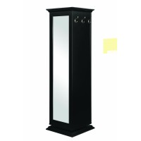 Casual Black Accent Cabinet