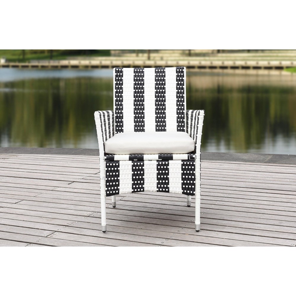 Safavieh Pat2506D-Set2 Chairs, Black/White