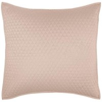 Winthrop 100 Sateen Natural Euro Sham by Kosas Home