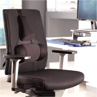 Fellowes Professional Series Back Support