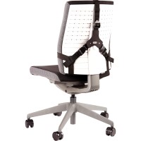 Fellowes Professional Series Back Support